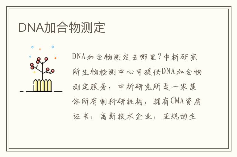 DNA加合物測定