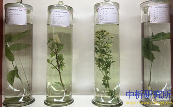 藥用植物檢測