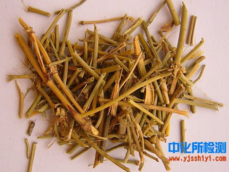 麻黃檢測(cè)