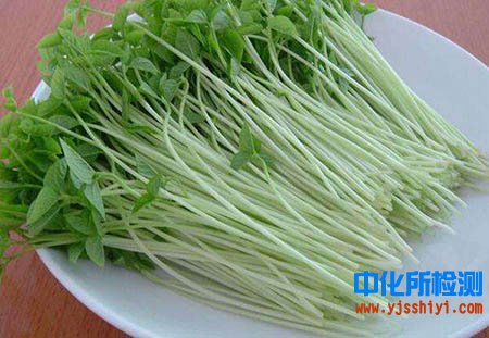 芽菜檢測(cè)