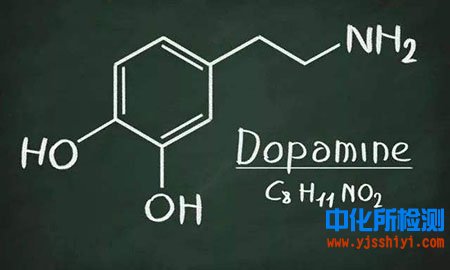 多巴胺檢測(cè)