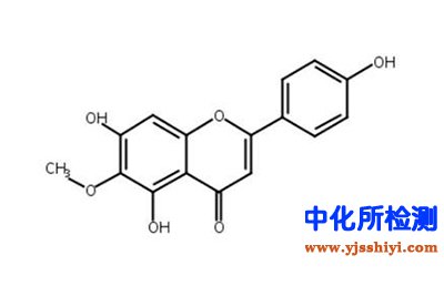 車(chē)前素檢測(cè)