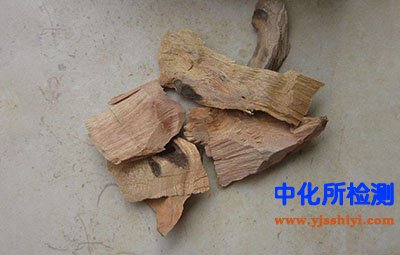 香樟根檢測(cè)