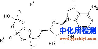 三磷酸腺苷檢測