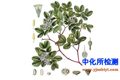 愈創(chuàng)烯檢測(cè)