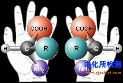 同分異構(gòu)體測(cè)定