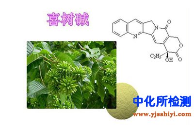 喜樹堿檢測