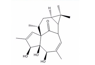 香豌豆醇檢測(cè)