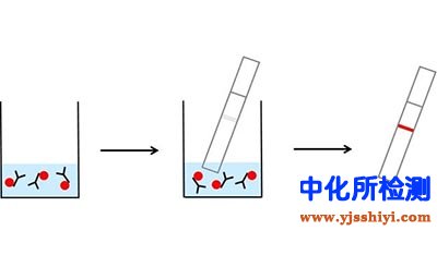 側(cè)向?qū)游鰴z測