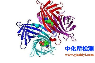 鏈霉親和素檢測(cè)